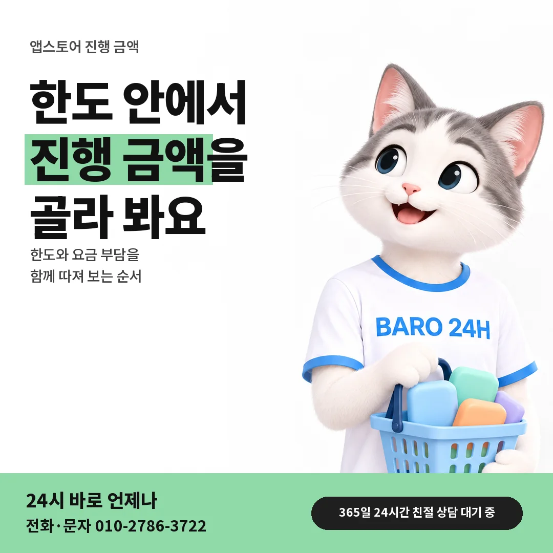 BARO 24H 티셔츠를 입은 3D 동물 캐릭터 옆에 「앱스토어 남은 한도 안에서 고르기」 제목을 얹은 안내 카드
